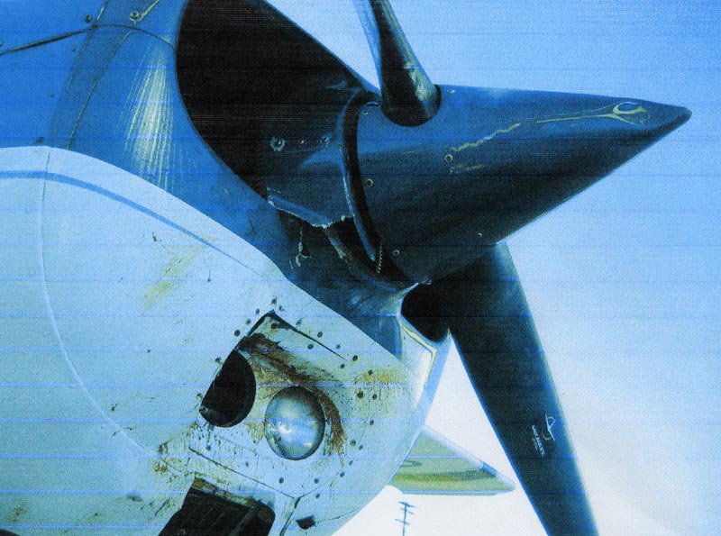 3. Cessna - 172, GIXQ - December 18, 2005 - Bald Eagle Strike. Photo courtesy Wayne Cave.