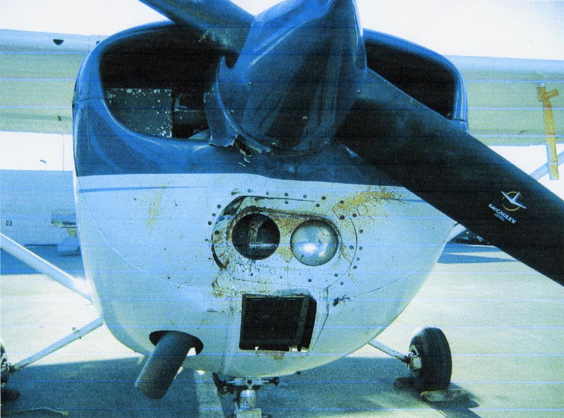 4. Cessna - 172, GIXQ - December 18, 2005 - Bald Eagle Strike. Photo courtesy Wayne Cave.